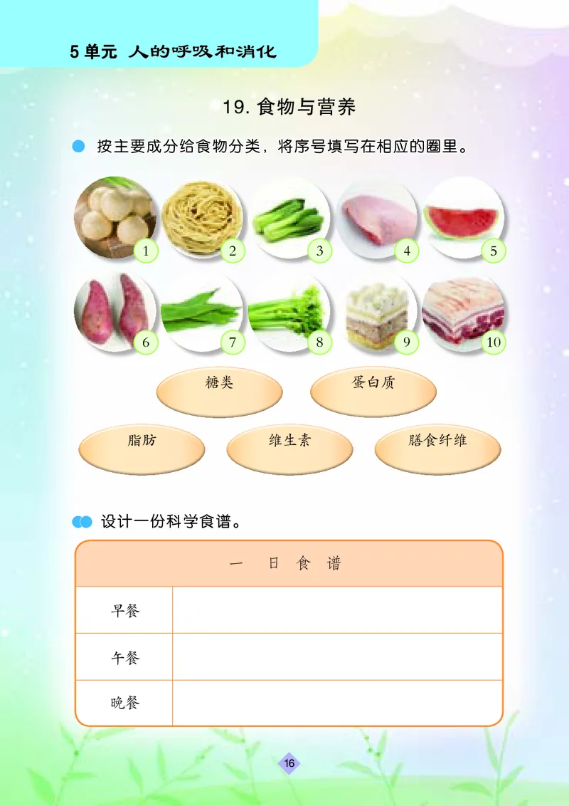 苏教版3年级科学上册活动手册_全部版本&bull;小学科学电子课本_苏教版小学科学电子课本