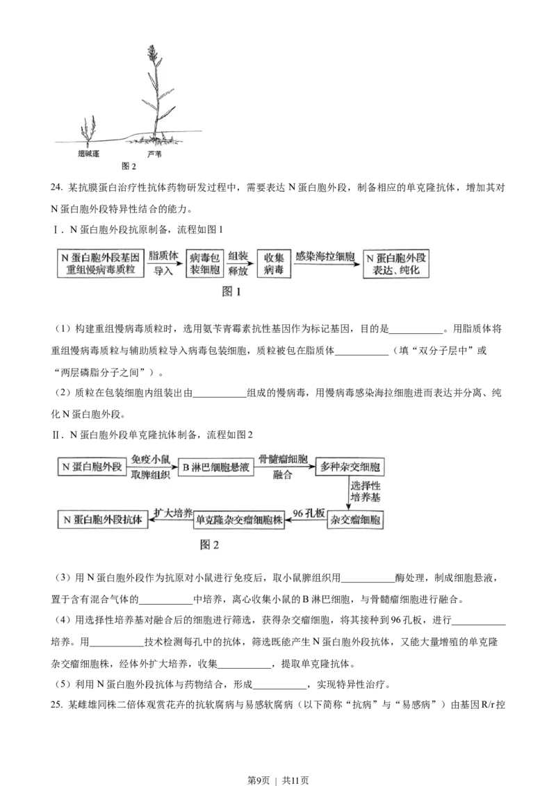 2022年高考生物试卷（辽宁）（空白卷）_生物历年高考真题_新&middot;Word版2008-2025&middot;高考生物真题_生物（按试卷类型分类）2008-2025_自主命题卷&middot;生物（2008-2025）_辽宁自主命题&middot;生物（2021-2024）