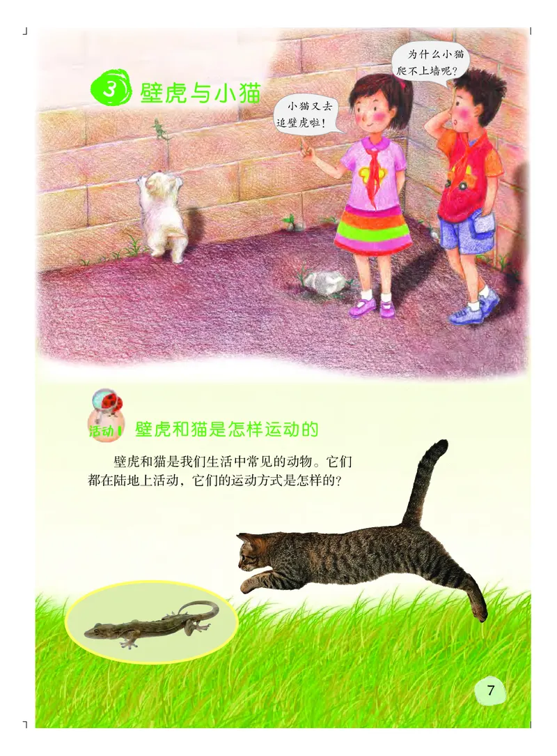 粤教版3年级科学上册高清教材_全部版本&bull;小学科学电子课本_粤教版小学科学电子课本