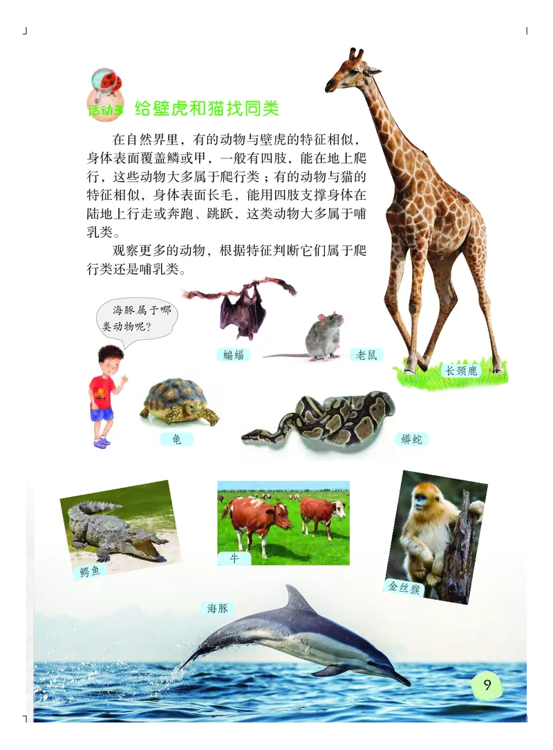 粤教版3年级科学上册高清教材_全部版本&bull;小学科学电子课本_粤教版小学科学电子课本