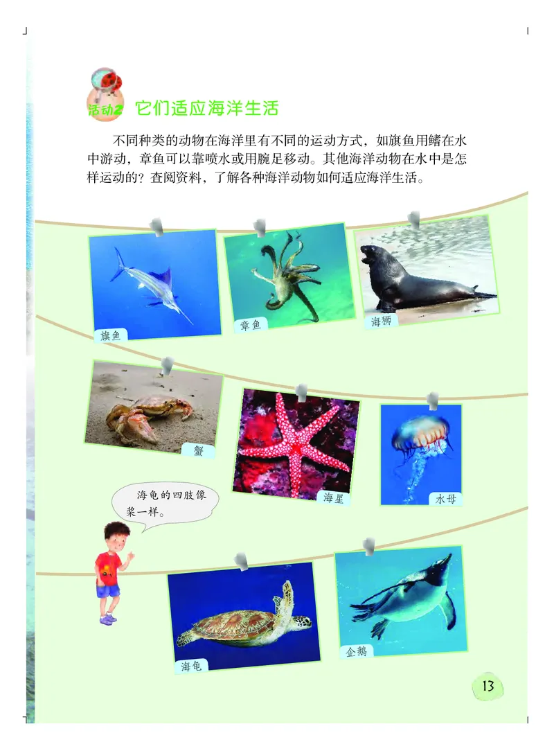 粤教版3年级科学上册高清教材_全部版本&bull;小学科学电子课本_粤教版小学科学电子课本