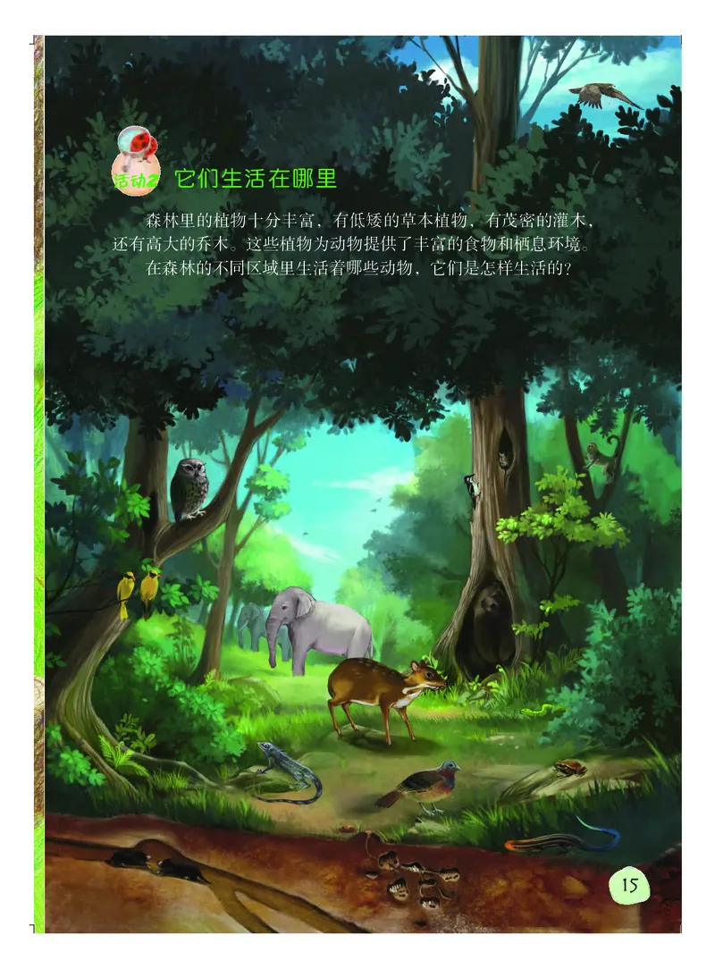 粤教版3年级科学上册高清教材_全部版本&bull;小学科学电子课本_粤教版小学科学电子课本