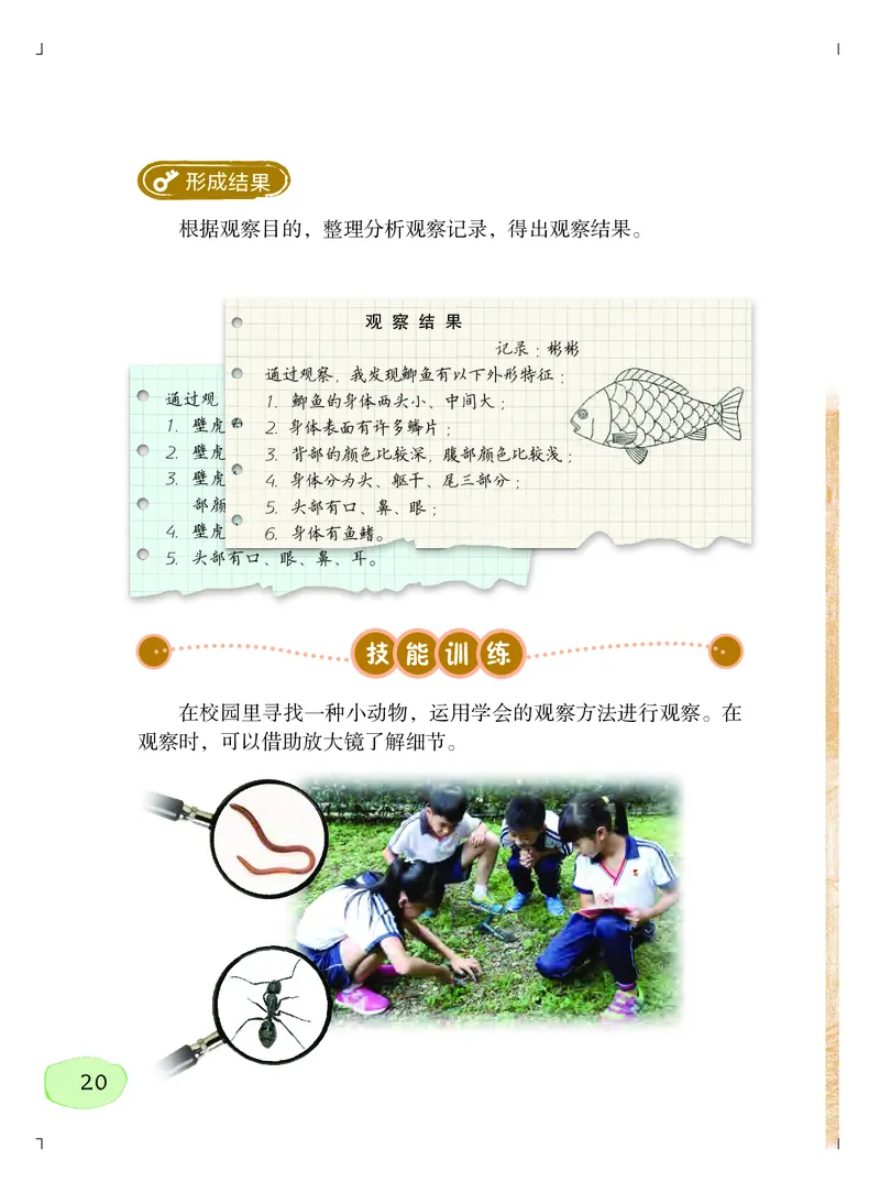 粤教版3年级科学上册高清教材_全部版本&bull;小学科学电子课本_粤教版小学科学电子课本