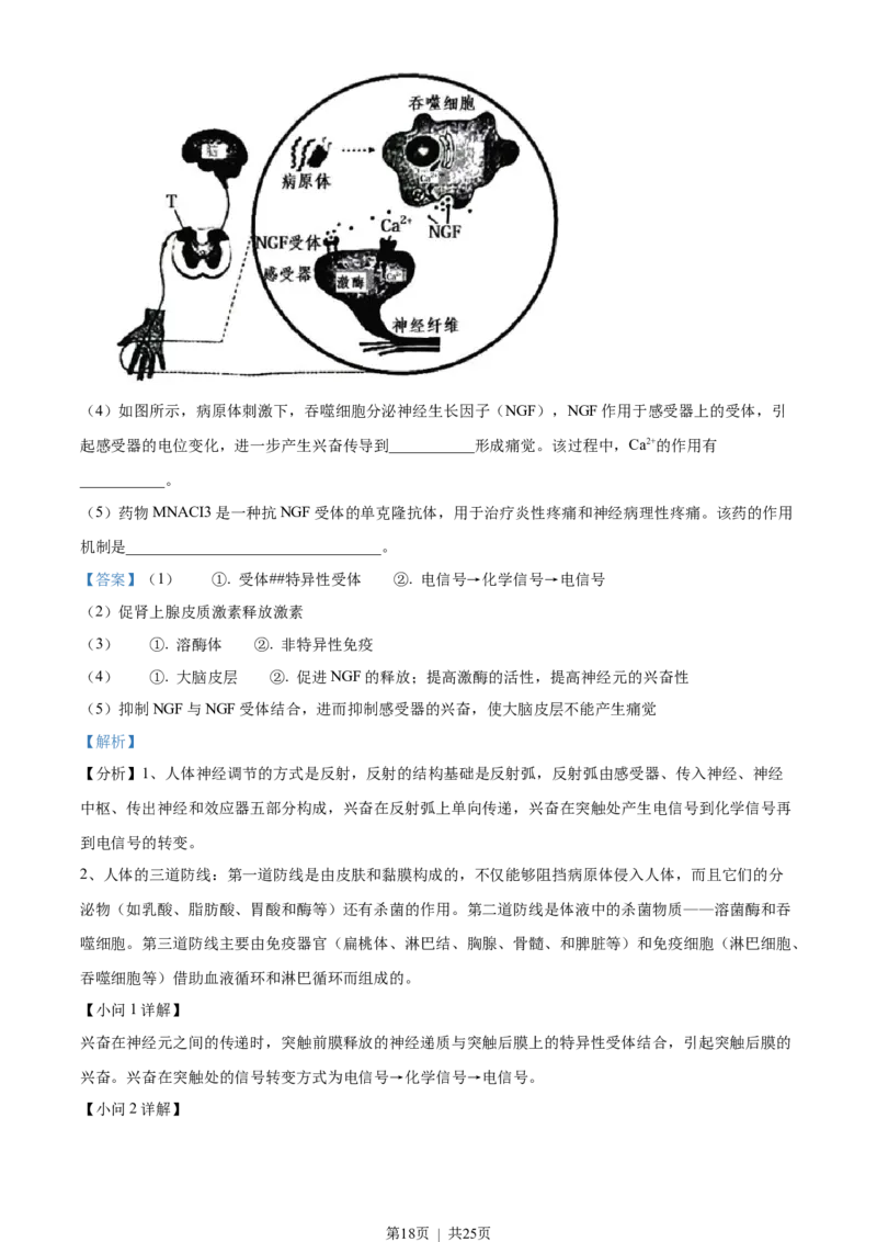 2022年高考生物试卷（江苏）（解析卷）_生物历年高考真题_新&middot;Word版2008-2025&middot;高考生物真题_生物（按省份分类）2008-2025_2008-2025&middot;（江苏）生物高考真题