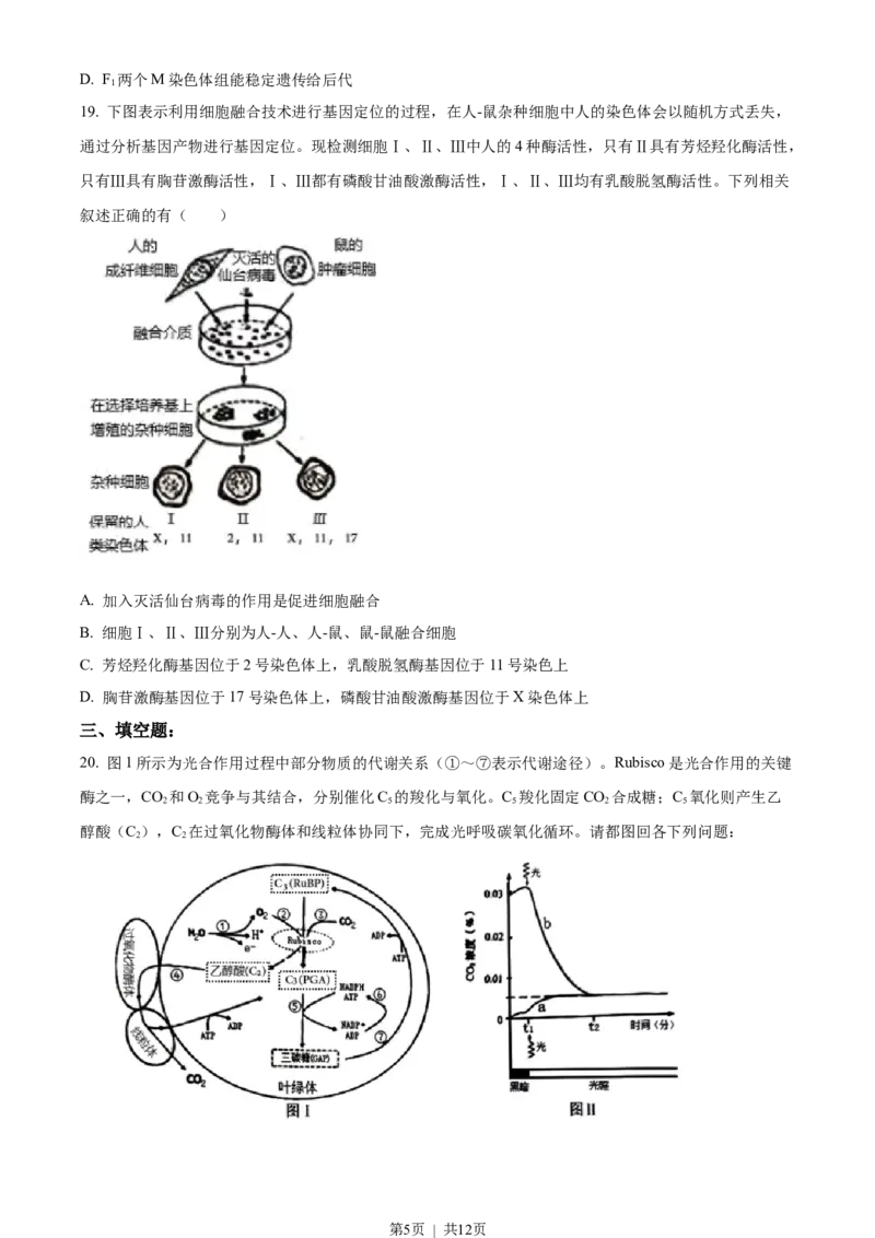 2022年高考生物试卷（江苏）（空白卷）_生物历年高考真题_新&middot;Word版2008-2025&middot;高考生物真题_生物（按试卷类型分类）2008-2025_自主命题卷&middot;生物（2008-2025）_江苏自主命题&middot;生物（2008-2025）