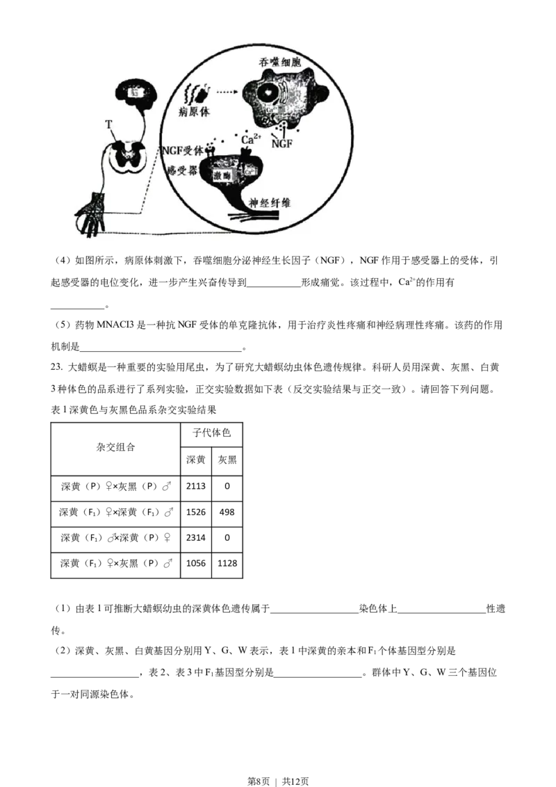 2022年高考生物试卷（江苏）（空白卷）_生物历年高考真题_新&middot;Word版2008-2025&middot;高考生物真题_生物（按试卷类型分类）2008-2025_自主命题卷&middot;生物（2008-2025）_江苏自主命题&middot;生物（2008-2025）