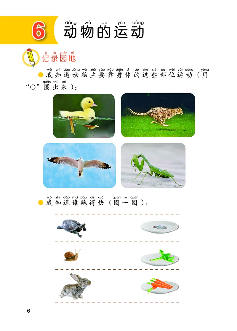 青岛版1年级科学下册活动手册_全部版本&bull;小学科学电子课本_青岛版63制小学科学课本