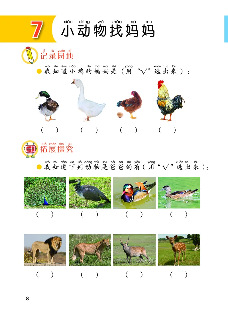 青岛版1年级科学下册活动手册_全部版本&bull;小学科学电子课本_青岛版63制小学科学课本