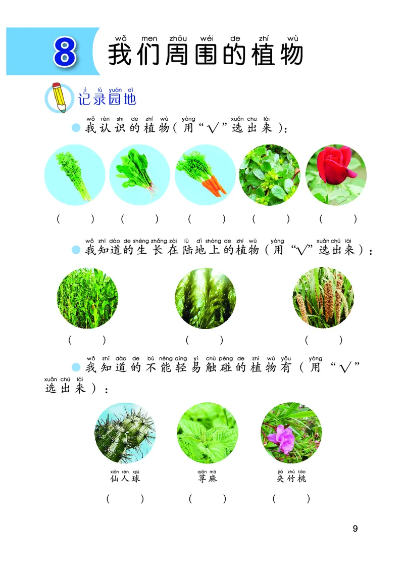 青岛版1年级科学下册活动手册_全部版本&bull;小学科学电子课本_青岛版63制小学科学课本