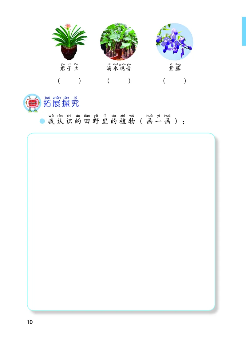 青岛版1年级科学下册活动手册_全部版本&bull;小学科学电子课本_青岛版63制小学科学课本