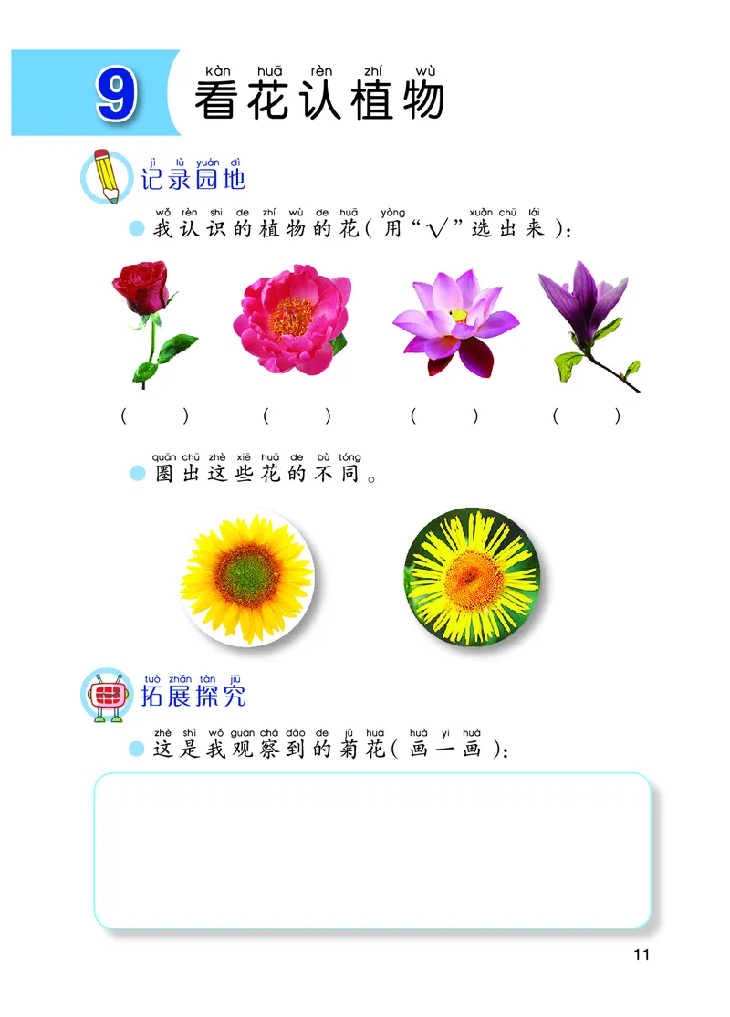 青岛版1年级科学下册活动手册_全部版本&bull;小学科学电子课本_青岛版63制小学科学课本