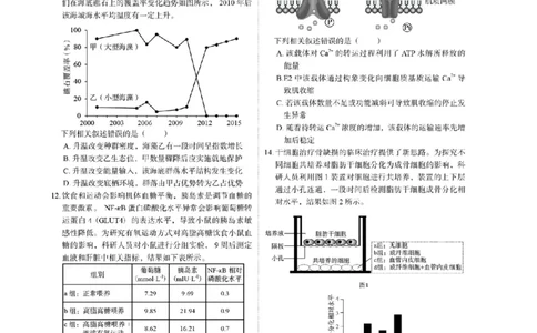 2023年高考生物试卷（福建）（空白卷）_生物历年高考真题_新&middot;Word版2008-2025&middot;高考生物真题_生物（按省份分类）2008-2025_2012-2024&middot;（福建）生物高考真题