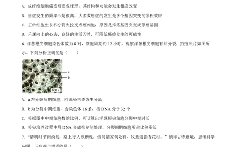 2022年高考生物试卷（湖南）（空白卷）_生物历年高考真题_新&middot;PDF版2008-2025&middot;高考生物真题_生物（按试卷类型分类）2008-2025_自主命题卷&middot;生物（2008-2025）_湖南自主命题&middot;生物（2021-2025）