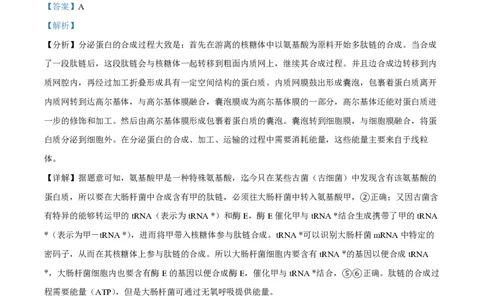 2023年高考生物试卷（全国乙卷）（解析卷）_生物历年高考真题_新&middot;PDF版2008-2025&middot;高考生物真题_生物（按省份分类）2008-2025_2008-2024&middot;（新疆）生物高考真题