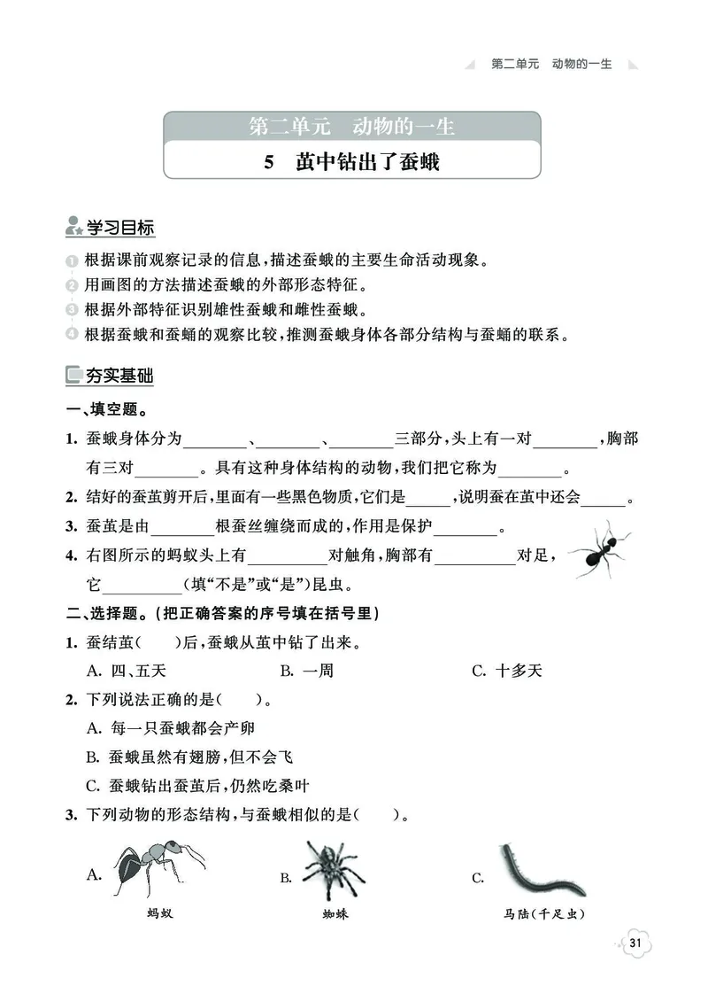《七彩同步训练》科学3年级下册（教科版）_三年级上下册资料_小学三年级学习资料-25年更新版_3-10、小学三年级科学下册_教科版_电子册类