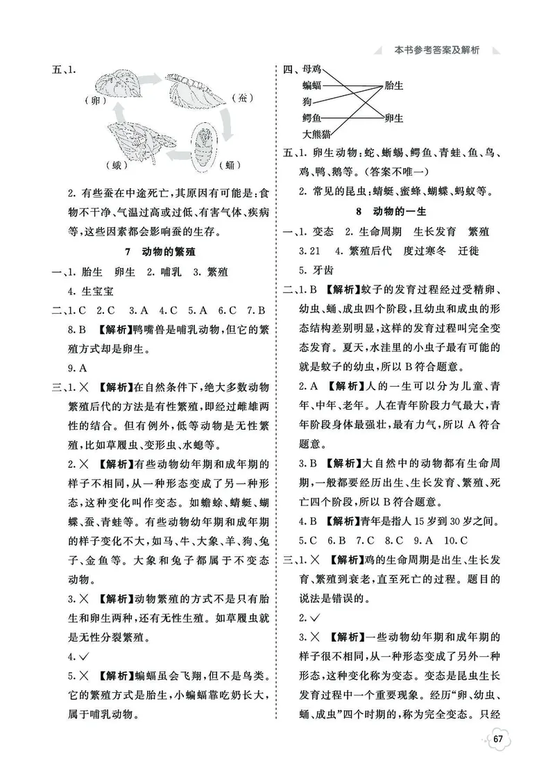 《七彩同步训练》科学3年级下册（教科版）_三年级上下册资料_小学三年级学习资料-25年更新版_3-10、小学三年级科学下册_教科版_电子册类