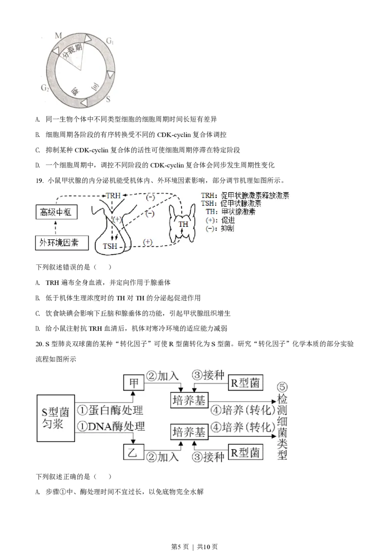 2022年高考生物试卷（浙江）（1月）（空白卷）_生物历年高考真题_新&middot;PDF版2008-2025&middot;高考生物真题_生物（按试卷类型分类）2008-2025_自主命题卷&middot;生物（2008-2025）