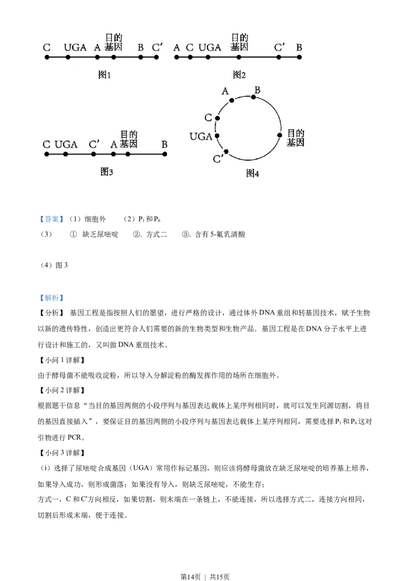 2023年高考生物试卷（天津）（解析卷）_生物历年高考真题_新&middot;Word版2008-2025&middot;高考生物真题_生物（按省份分类）2008-2025_2008-2024&middot;（天津）生物高考真题
