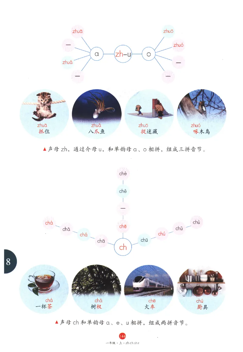 一年级上A1_一年级语文上册（统编版）_老课标资料_教学视频_第一套_010-绘本课堂PDF可下载打印