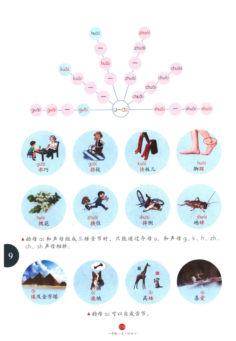 一年级上A1_一年级语文上册（统编版）_老课标资料_教学视频_第一套_010-绘本课堂PDF可下载打印