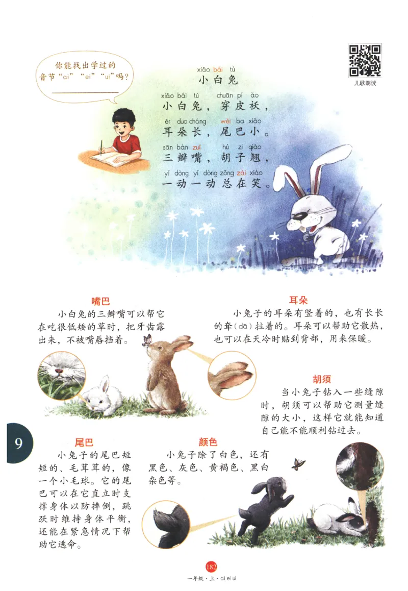 一年级上A1_一年级语文上册（统编版）_老课标资料_教学视频_第一套_010-绘本课堂PDF可下载打印