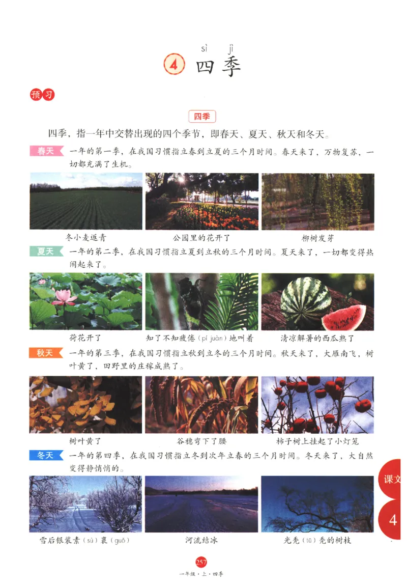 一年级上A1_一年级语文上册（统编版）_老课标资料_教学视频_第一套_010-绘本课堂PDF可下载打印