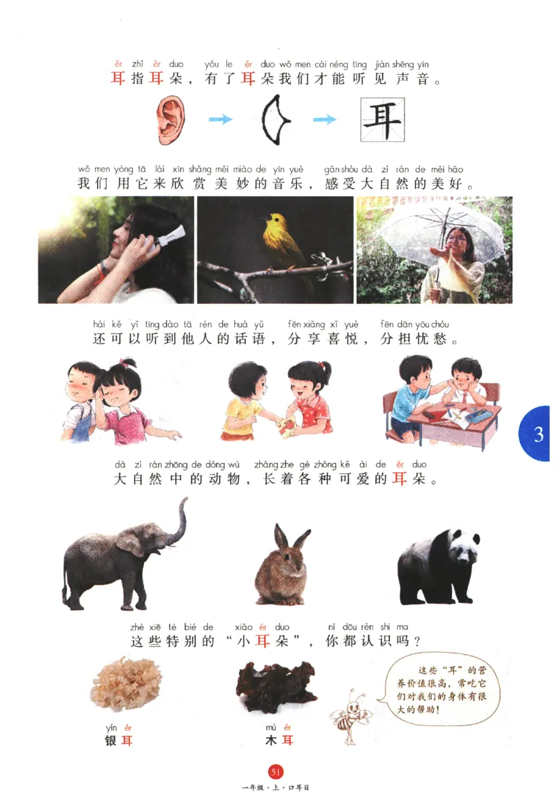 一年级上A1_一年级语文上册（统编版）_老课标资料_教学视频_第一套_010-绘本课堂PDF可下载打印