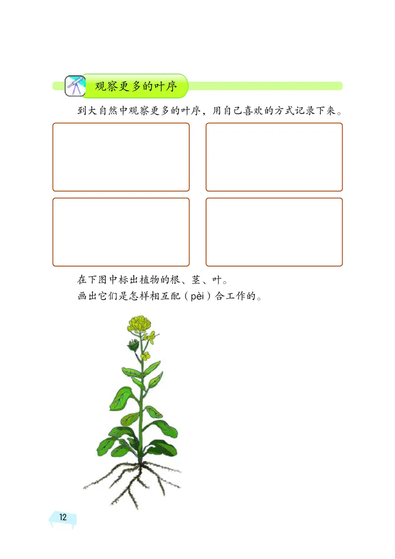 湘科版3年级科学下册活动手册_全部版本&bull;小学科学电子课本_湘科版小学科学电子课本