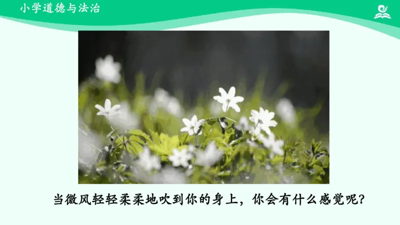 6风儿轻轻吹_课件_一年级上下册资料_小学一年级学习资料-25年更新版_1-08、小学一年级道德与法治下册_课时练与课件