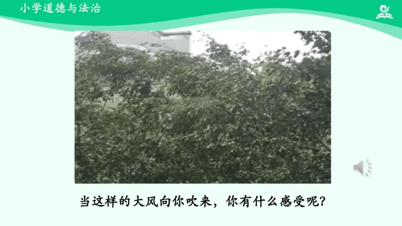 6风儿轻轻吹_课件_一年级上下册资料_小学一年级学习资料-25年更新版_1-08、小学一年级道德与法治下册_课时练与课件