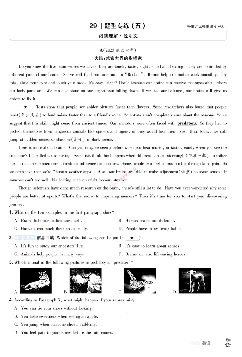 2026《中考英语45套》甘肃题型小卷_45套中招_2026《中考英语45套》甘肃