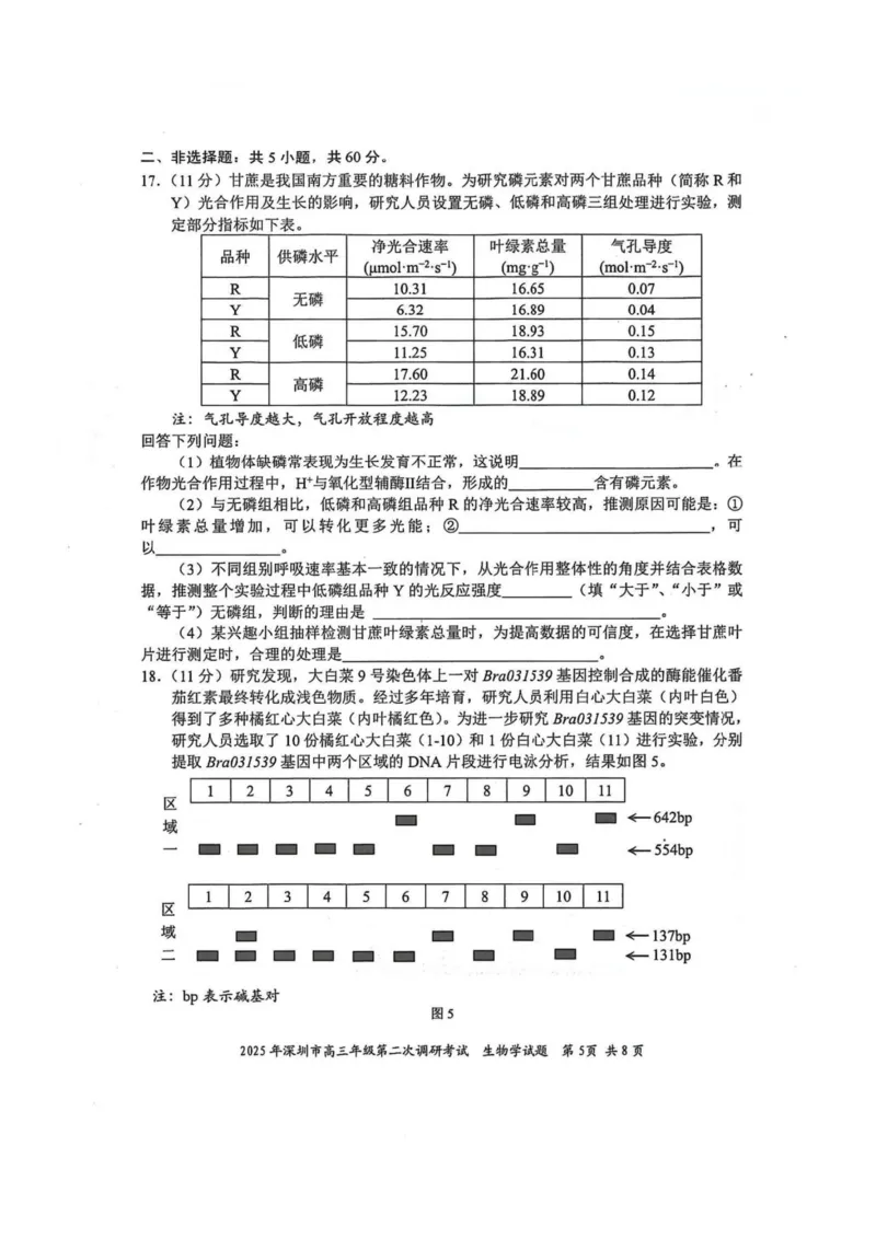 2025年4月深圳市高三二模生物试卷_@高三模考真题_2025年4月深圳市高三二模试卷及答案
