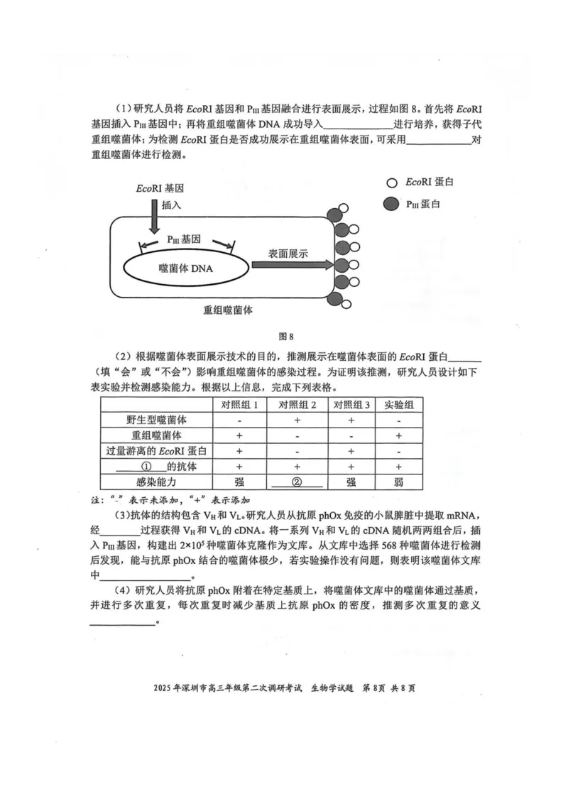2025年4月深圳市高三二模生物试卷_@高三模考真题_2025年4月深圳市高三二模试卷及答案