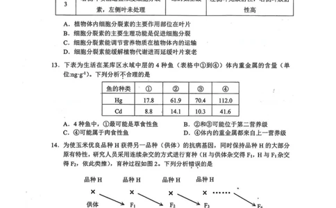 2025年4月深圳市高三二模生物试卷_@高三模考真题_2025年4月深圳市高三二模试卷及答案