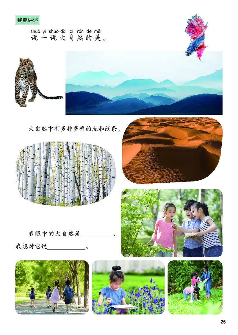 美术一下人美北京版（2025春）_小学全网线上同款资料_2025春新增教材合集_小学美术（2025春新教材）