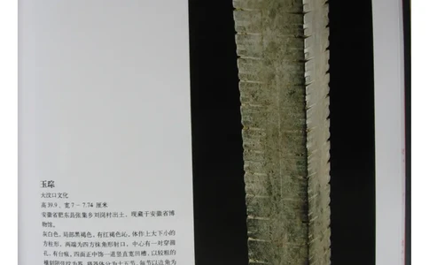 中国出土玉器全集(6)+安徽_部分2_X018-玉石珠宝鉴定教程最新合集_5、玉石鉴定专题全套课程_玉石电子书_中国出土玉石全集