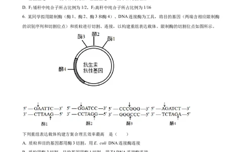 2023年高考生物试卷（新课标）（空白卷）_生物历年高考真题_新&middot;Word版2008-2025&middot;高考生物真题_生物（按省份分类）2008-2025_2008-2025&middot;（吉林）生物高考真题