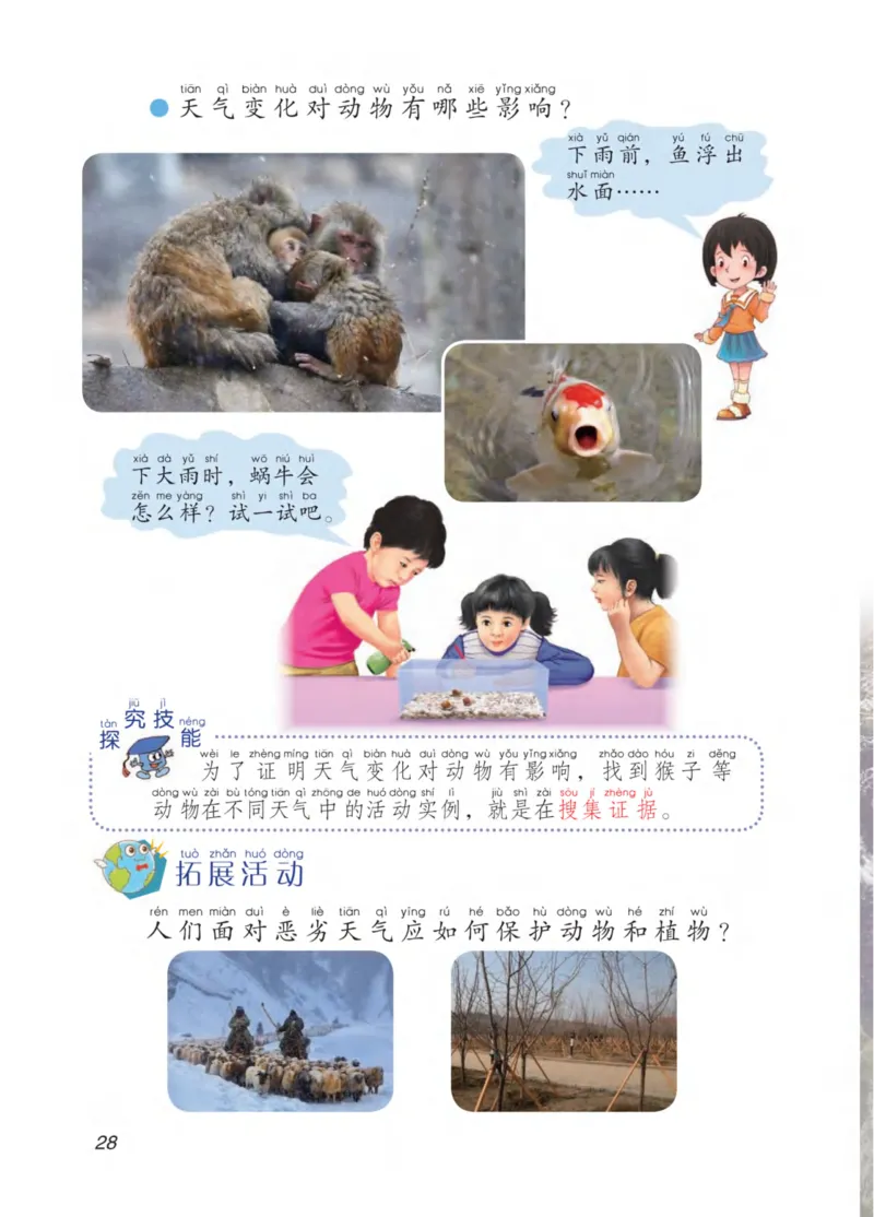 青岛版2年级科学下册高清教材_全部版本&bull;小学科学电子课本_青岛版63制小学科学课本