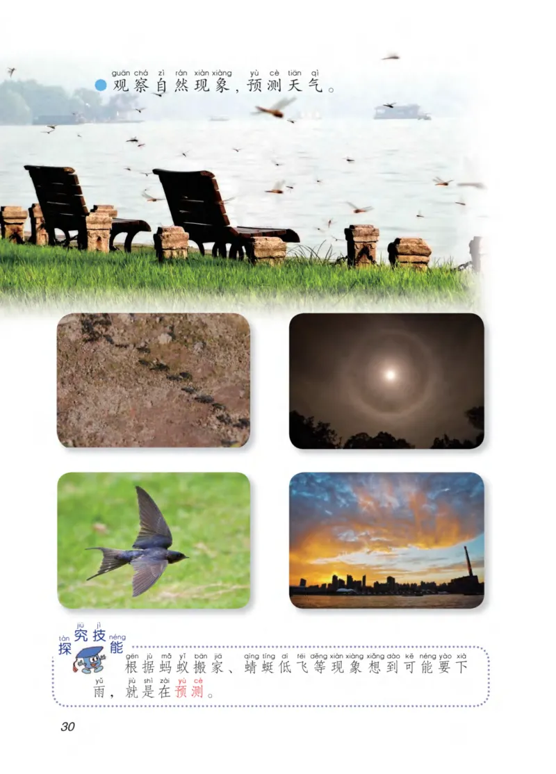 青岛版2年级科学下册高清教材_全部版本&bull;小学科学电子课本_青岛版63制小学科学课本