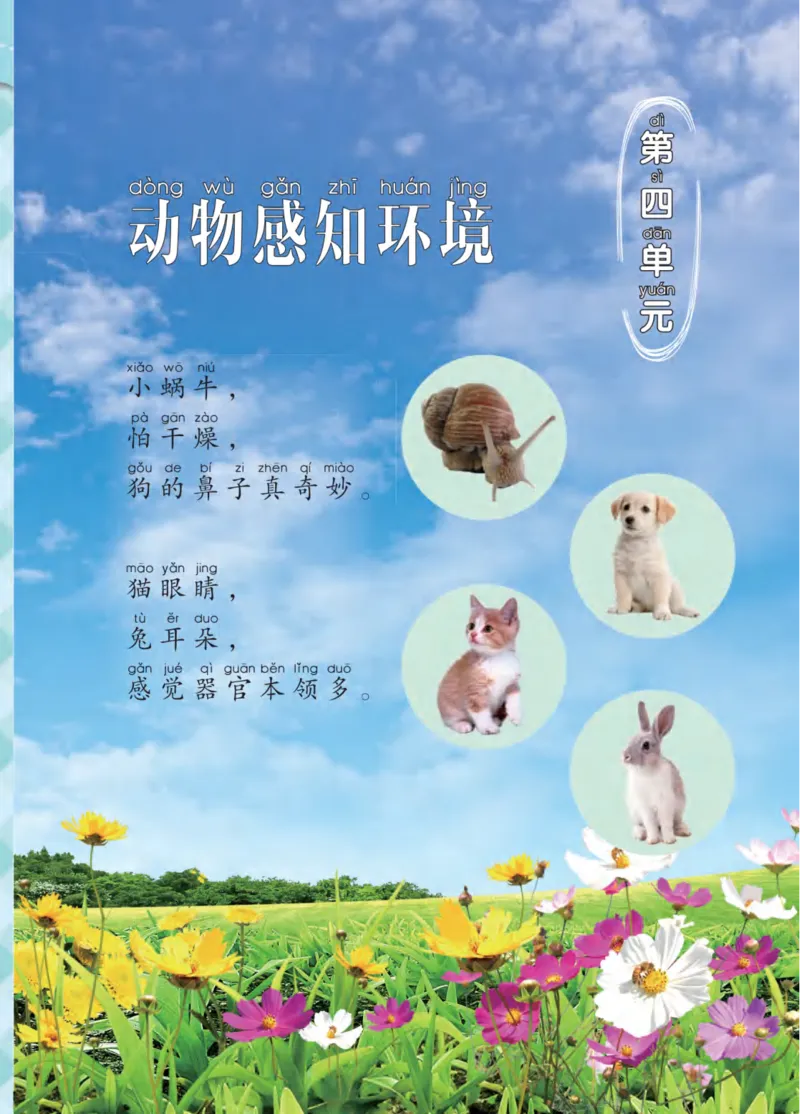 青岛版2年级科学下册高清教材_全部版本&bull;小学科学电子课本_青岛版63制小学科学课本