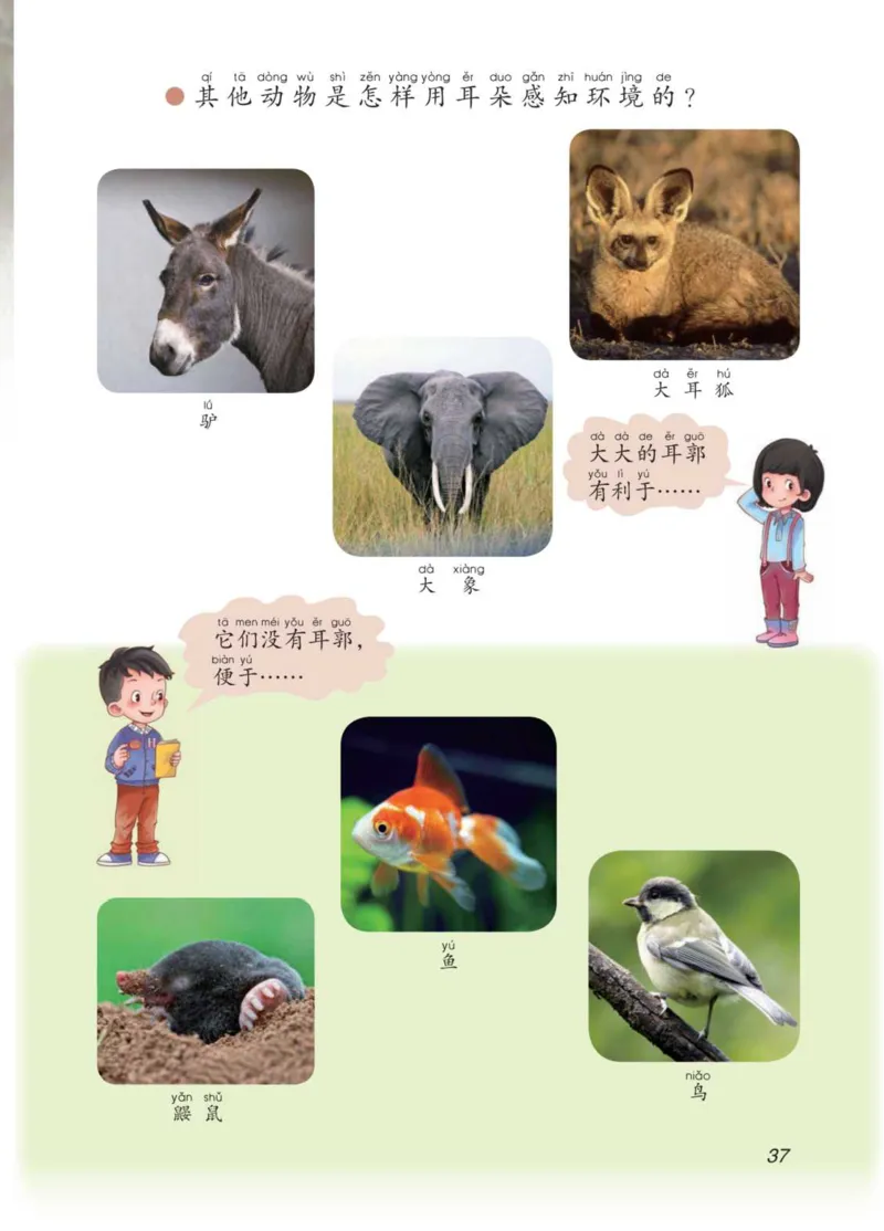 青岛版2年级科学下册高清教材_全部版本&bull;小学科学电子课本_青岛版63制小学科学课本