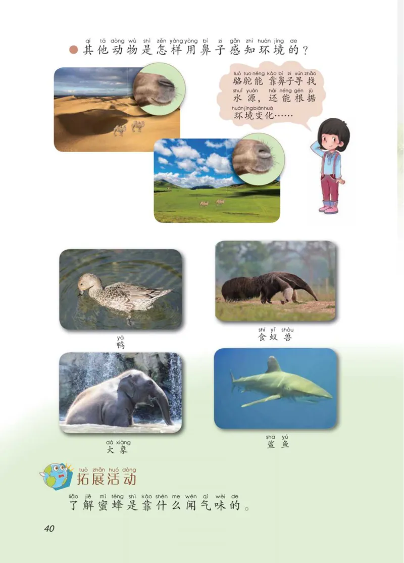 青岛版2年级科学下册高清教材_全部版本&bull;小学科学电子课本_青岛版63制小学科学课本