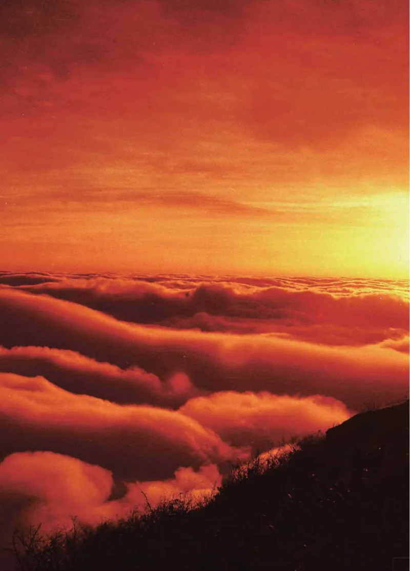 青岛版2年级科学下册高清教材_全部版本&bull;小学科学电子课本_青岛版63制小学科学课本