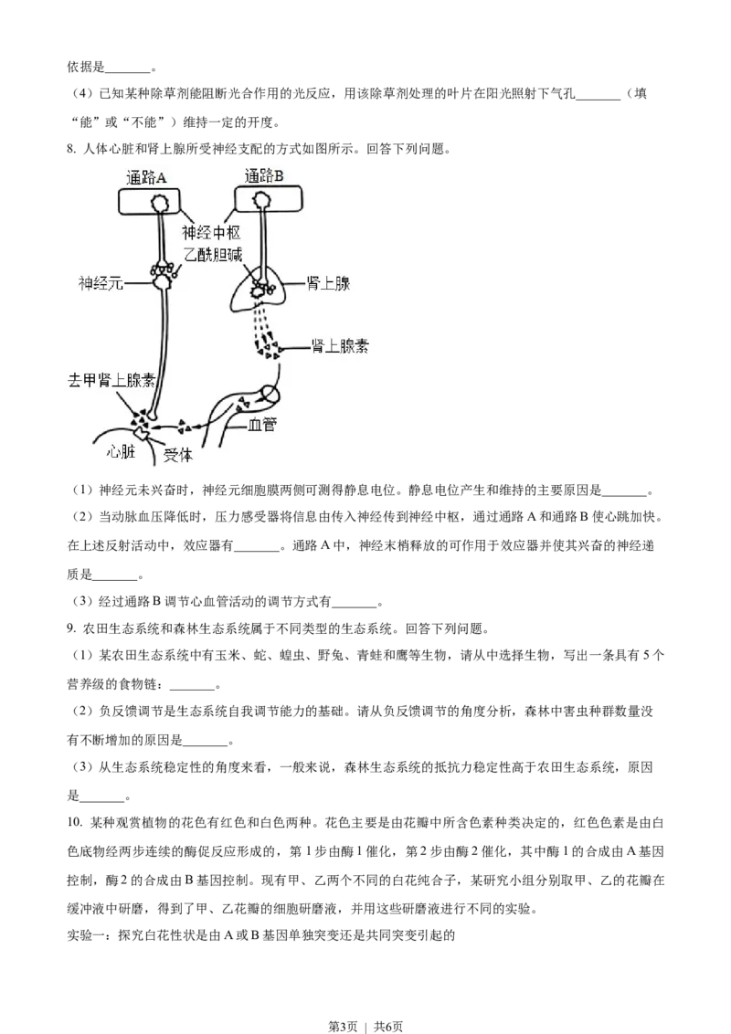 2023年高考生物试卷（全国乙卷）（空白卷）_生物历年高考真题_新&middot;Word版2008-2025&middot;高考生物真题_生物（按省份分类）2008-2025_2008-2024&middot;（甘肃）生物高考真题