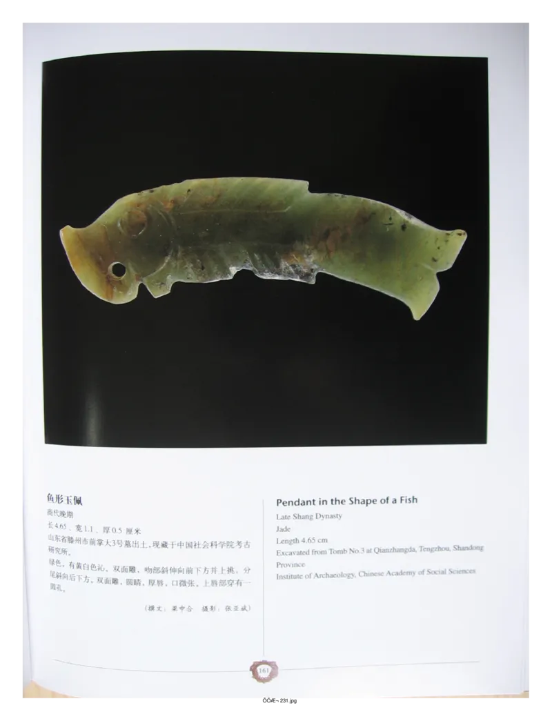 中国出土玉器全集(4)山东_部分3_X018-玉石珠宝鉴定教程最新合集_5、玉石鉴定专题全套课程_玉石电子书_中国出土玉石全集