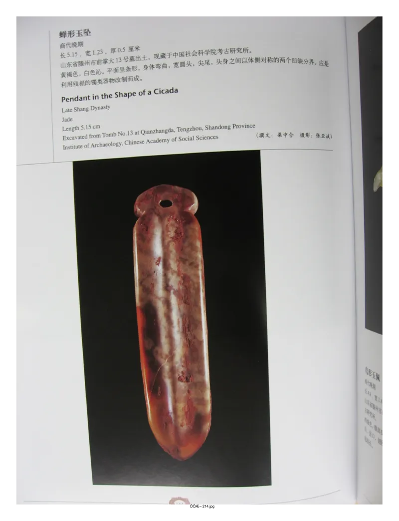 中国出土玉器全集(4)山东_部分3_X018-玉石珠宝鉴定教程最新合集_5、玉石鉴定专题全套课程_玉石电子书_中国出土玉石全集