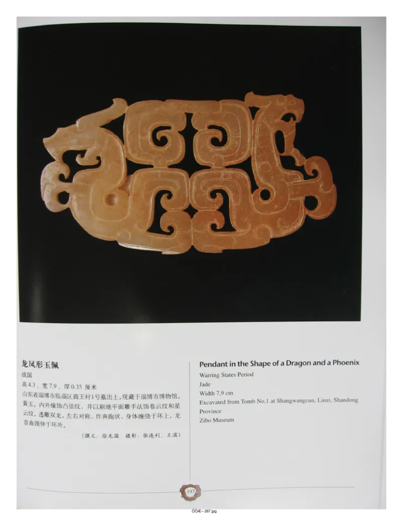 中国出土玉器全集(4)山东_部分3_X018-玉石珠宝鉴定教程最新合集_5、玉石鉴定专题全套课程_玉石电子书_中国出土玉石全集