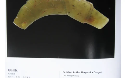 中国出土玉器全集(4)山东_部分3_X018-玉石珠宝鉴定教程最新合集_5、玉石鉴定专题全套课程_玉石电子书_中国出土玉石全集