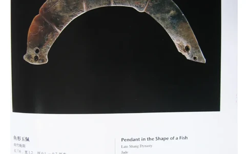 中国出土玉器全集(4)山东_部分3_X018-玉石珠宝鉴定教程最新合集_5、玉石鉴定专题全套课程_玉石电子书_中国出土玉石全集