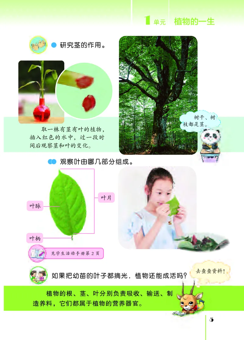 苏教版3年级科学下册高清教材_全部版本&bull;小学科学电子课本_苏教版小学科学电子课本